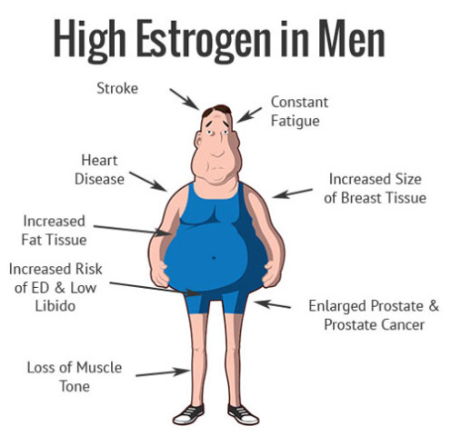 استروژن در بدن مردان